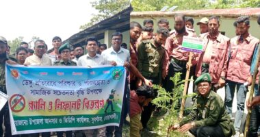 সুবর্ণচরে আনসার-ভিডিপির উদ্যোগে ডেঙ্গু প্রতিরোধ জনসচেতনতা ও বৃক্ষরোপণ কর্মসূচি অনুষ্ঠিত