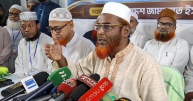 আওয়ামী লীগকে ফেরাতে সরকারের ভেতরে চক্র কাজ করছে: গোলাম পরওয়ার