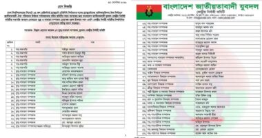 ঢাবি সিনেট নির্বাচন, সমন্বয়ের দায়িত্ব পেলেন যুবদলের ৫২ নেতা