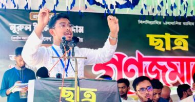 ‘গণভোটের রায় ও জুলাই সনদ বাস্তবায়নে ব্যর্থ বিএনপি সরকার’: ডাকসু ভিপি