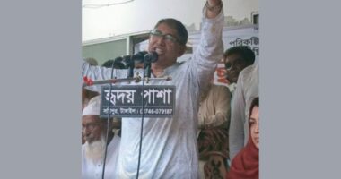 শেখ হাসিনা দেশে ফিরবেন না, দিল্লিতে বসে অস্থিতিশীলতার ষড়যন্ত্র করবেন: আহমেদ আযম খান