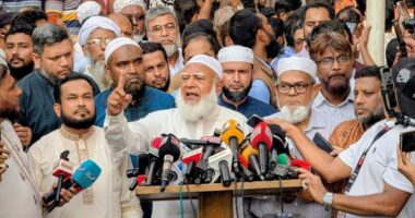 সরকারি দলের আশ্রয়-প্রশ্রয়েই দেশজুড়ে মব সন্ত্রাস চলছে: জামায়াত আমির