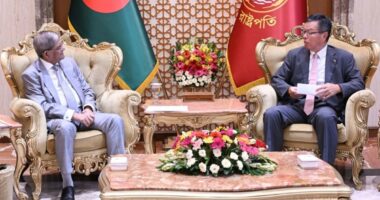 রাষ্ট্রপতির সঙ্গে জাপানের রাষ্ট্রদূতের সাক্ষাৎ, সহযোগিতা জোরদারে আলোচনা