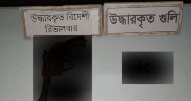 কুষ্টিয়ার ভেড়ামারায় পরিত্যক্ত অবস্থায় বিদেশি রিভলবার ও ৫ রাউন্ড গুলি উদ্ধার