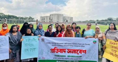 ‘ছিনতাই-চাঁদাবাজি আগের চেয়ে বেড়েছে’, এবার আন্দোলনের হুঁশিয়ারি জাতীয় নারী শক্তির