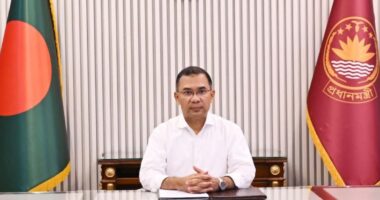 আগামী ১৭ সেপ্টেম্বর ফেনী যাবেন প্রধানমন্ত্রী তারেক রহমান