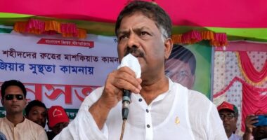 বিএনপিকে যারা শেষ করতে চেয়েছে তারাই ধ্বংস হয়ে গেছে: সংসদের হুইপ দুলু