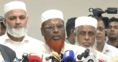 স্থানীয় সরকার নির্বাচনে জোটে নয়, আলাদা প্রার্থী দেবে দলগুলো: মিয়া গোলাম পরওয়ার