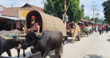 গ্রামীণ ঐতিহ্যে লালমনিরহাটে বিএনপির প্রতিষ্ঠাবার্ষিকী পালিত