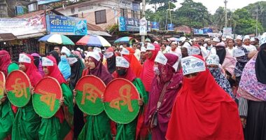 লালমোহনে বর্ণাঢ্য আয়োজনে বিএনপির প্রতিষ্ঠা বার্ষিকী উদযাপিত