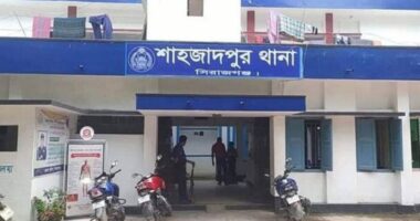 শাহজাদপুরে ট্রাক চাপায় প্রাণ গেল ব্যাবসায়ীর