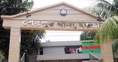 শেরপুরে বাউল শিল্পীকে সংঘবদ্ধ ধর্ষণ: ৯৯৯-এ কলে রক্ষা, গ্রেফতার ২