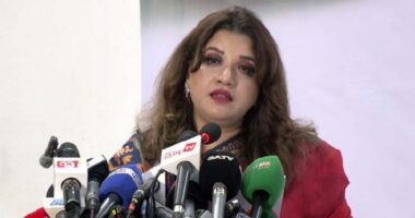 দেশে তেল নেই, তাহলে হাজার হাজার গাড়ির লংমার্চ কীভাবে: পররাষ্ট্র প্রতিমন্ত্রী শামা ওবায়েদ