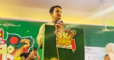 এমন এক যুগে বাংলাদেশ এসেছে, যেখানে মহিষকে ঘাস খাওয়ানোর জন্যও চাঁদা দিতে হয়: সারজিস আলম
