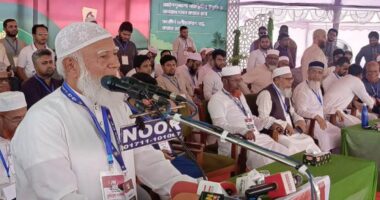 অতীত থেকে শিক্ষা না নিলে এই সরকারকেও পালাতে হবে: ডা. শফিকুর রহমান
