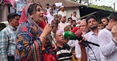 দেশে তেল নেই, তাহলে হাজার হাজার গাড়িগুলো কি পানিতে চলে, এত গাড়ি নিয়ে লংমার্চ কীভাবে হচ্ছে: শামা ওবায়েদ