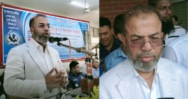 ৩ কোটি চারা রোপণ, শীতে উপকূলে আরও ২ কোটি: পরিবেশ প্রতিমন্ত্রী