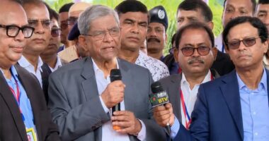 অনেক ত্যাগের বিনিময়ে অর্জিত গণতন্ত্র যেন আর হারিয়ে না যায়, সে বিষয়ে সবাইকে সচেতন থাকতে হবে: রাষ্ট্রপতি