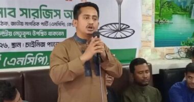 কীভাবে কর্মসূচি করব বিএনপিকে শেখাতে হবে না: সারজিস আলম
