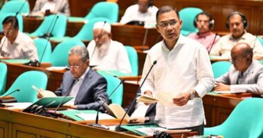 ভোলাতে গড়ে তোলা হবে বিদ্যুৎকেন্দ্র ও সার কারখানা : সংসদে প্রধানমন্ত্রী তারেক রহমান