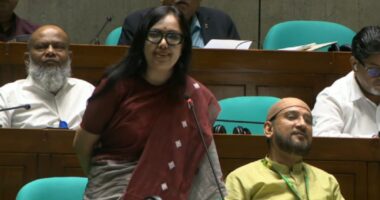বিএনপি ক্ষমতায় আসবে আর গ্যাস-বিদ্যুৎ সংকট হবে না, এটা হতে পারে না:রুমিন ফারহানা