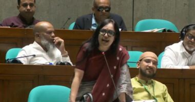 বিএনপি ক্ষমতায় আসবে আর দুর্নীতিতে বাংলাদেশ চ্যাম্পিয়ন হবে না , সেটাও হওয়া সম্ভব না : রুমিন ফারহানা
