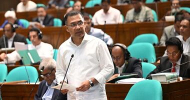 অন্তর্বর্তী সরকারের তৈরি শ্বেতপত্রের আলোকেই পদক্ষেপ নিচ্ছে সরকার: প্রধানমন্ত্রী