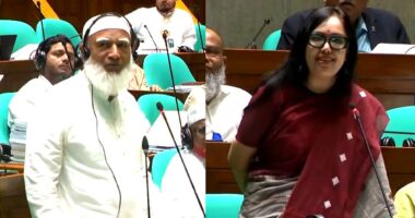 রুমিন ফারহানা গালি না দোয়া দিলেন, কিছুই বুঝলাম না: জামায়াত আমির