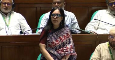 সংসদে আমাকে অকথ্য ভাষায় গালাগাল করা হয়েছে: ব্যারিস্টার রুমিন ফারহানা