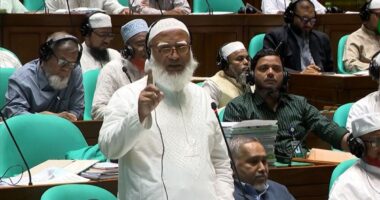 বাংলাদেশ আর কারও অধীনে তার পররাষ্ট্রনীতি পরিচালনা করবে না: বিরোধীদলীয় নেতা