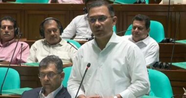 বাকস্বাধীনতা যেন বাকশালীনতার সীমা লঙ্ঘন না করে: প্রধানমন্ত্রী তারেক রহমান