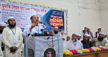 অভ্যুত্থানের পর শুধু সরকার বদলেছে, জনগণের পরিবর্তন হয়নি: চরমোনাই পীর