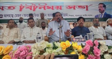 শেখ হাসিনা ছিলেন বিশ্বের সেরা অভিনেত্রী ও নিজেই ছিলেন গুমের নির্দেশ দাতা- স্পিকার