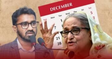 শত শত ডিসেম্বর চলে গেলেও শেখ হাসিনা আর ফিরবে না: রাশেদ খাঁন