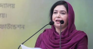 স্বাস্থ্যসেবা করুণা নয় মৌলিক অধিকার, প্রত্যন্ত অঞ্চলে পৌঁছে দিতে কাজ করছে সরকার: জোবাইদা রহমান