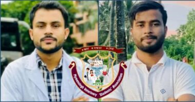 ময়মনসিংহ ভেটেরিনারি স্টুডেন্ট'স এসোসিয়েশনের নতুন নেতৃত্বে রাকিব-নাইমুর