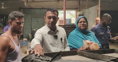 শেরপুরে অস্বাস্থ্যকর দুই বেকারিকে ৫০ হাজার টাকা জরিমানা
