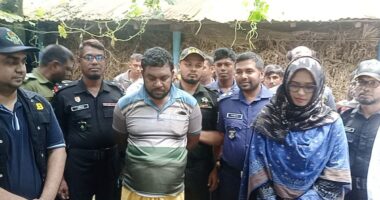 তালায় নকল-ভেজাল সার-কীটনাশকের কারবার, ব্যবসায়ীর কারাদণ্ড