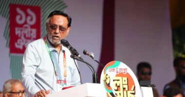এ সরকার বিএনপির সরকার না, হাসিনার সরকার: অলি আহমেদ
