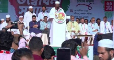 লংমার্চে দেশব্যাপী জোয়ার তৈরি হয়েছে: মিয়া গোলাম পরওয়ার