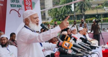 নব্য স্বৈরশাসন থেকে দেশকে মুক্ত করার জন্যই রাস্তায় নেমেছি: জামায়াত আমির