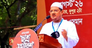 আগের মতো এখনো দেশে খুন, সন্ত্রাস ও বিদেশে অর্থ পাচারসহ নানা অপরাধ কর্মকাণ্ড চলছে: চরমোনাই পীর