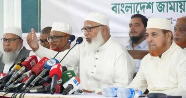মন্ত্রী-এমপিদের বেতন বাড়ালে বাধা দেবে জামায়াত: শফিকুর রহমান