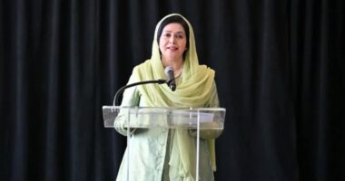 জাতিসংঘের নারী নেতৃত্ব প্ল্যাটফর্মে বক্তব্য দিয়েছেন জুবাইদা রহমান