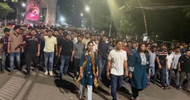 আওয়ামী সন্ত্রাস মোকাবিলায় ২৪ ঘণ্টা রাজপথে থাকবে ছাত্রদল: সহ-সভাপতি বাসিত