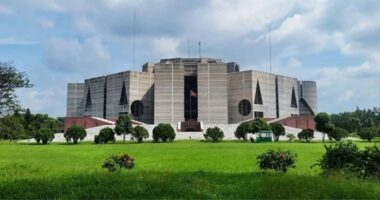 জানুয়ারিতে সংসদে উঠবে সংবিধান সংশোধন বিল, পাস হলেই হবে গণভোট