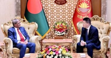 দেশে বিনিয়োগ বৃদ্ধি ও রোহিঙ্গা প্রত্যাবাসনে চীনের প্রতি সহায়তার আহ্বান রাষ্ট্রপতির