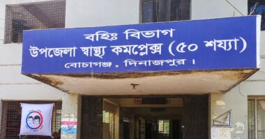 দিনাজপুরের বোচাগঞ্জে বিদ্যুৎস্পৃষ্টে ৭ মাসের শিশুর মৃত্যু