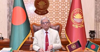 দুই দিনের সফরে নিজ জেলা ঠাকুরগাঁও যাচ্ছেন রাষ্ট্রপতি