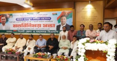 ভারতে হাসিনাকে আশ্রয়ের বিষয়টি এড়ানোর সুযোগ নেই: পররাষ্ট্র প্রতিমন্ত্রী হুমায়ুন কবির